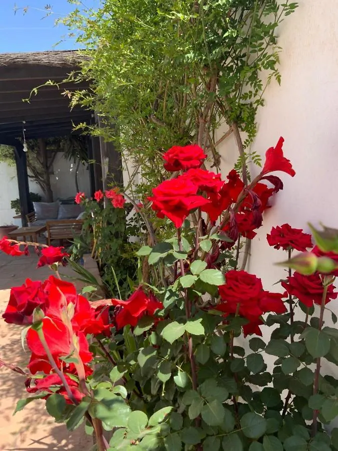 Family Villa With Pool, Walk To Beach, Restaurants And Shopping La Cala De Mijas